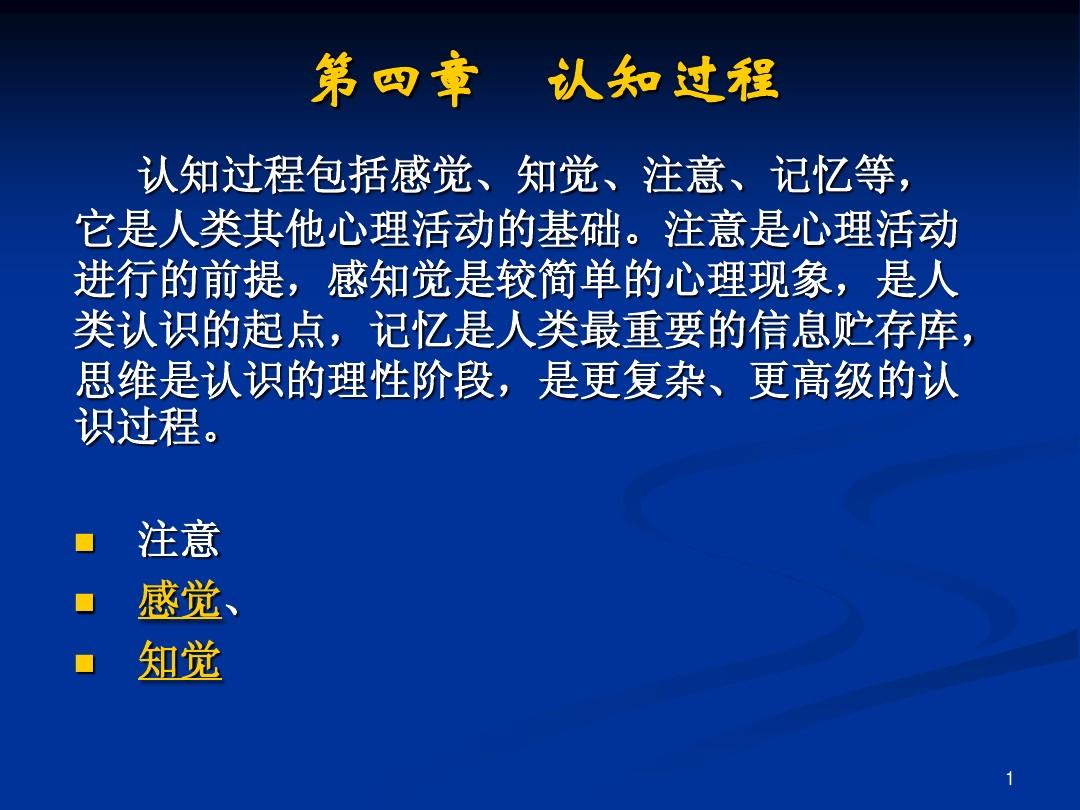 感知更新，小巷特色小店的隐藏魅力探索