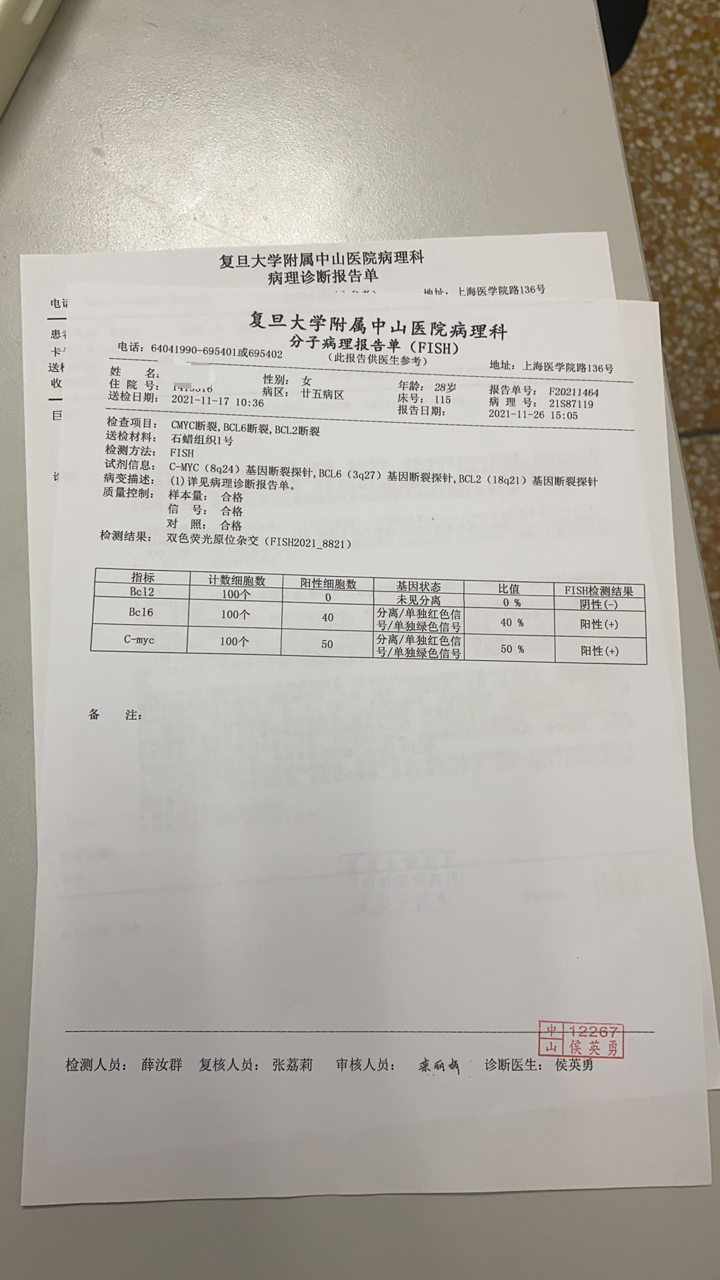 最新确诊报告,最新确诊报告分析，某某观点的探讨